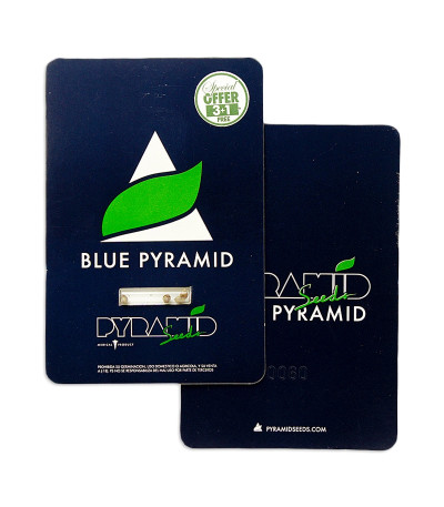 Blue Pyramid fem (Pyramid Seeds) семена конопли