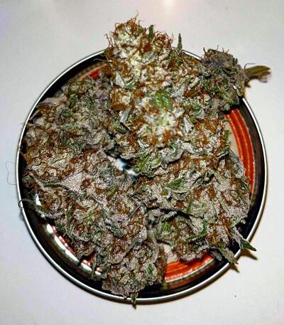 Booberry Cookies RBX fem (Ethos Genetics) семена конопли