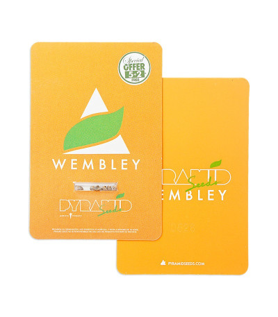 Wembley fem (Pyramid Seeds) семена конопли