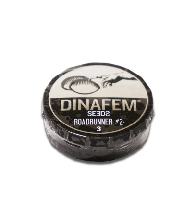 Roadrunner Autoflowering #2 fem семена конопли