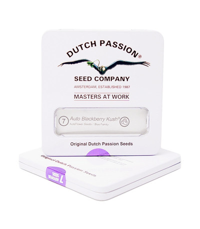 Семена сорта Auto Blackberry Kush в оригинальной упаковке
