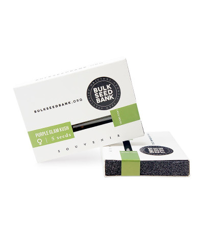 Семена конопли Purple Glam Kush в оригинальной упаковке