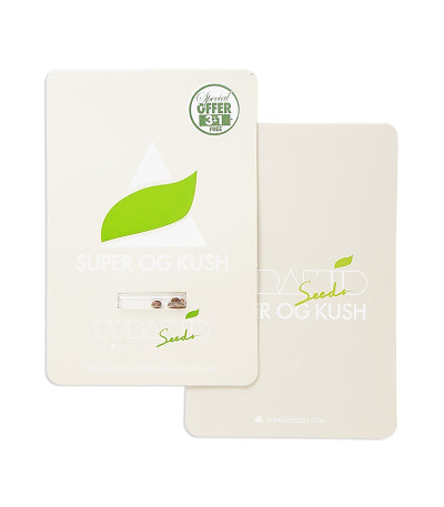 Super OG Kush fem (Pyramid Seeds) семена конопли