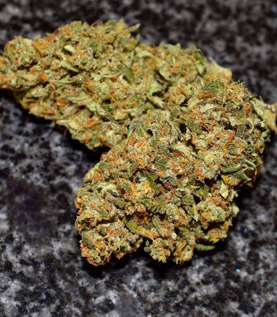 Mexican Airlines Auto fem семена конопли