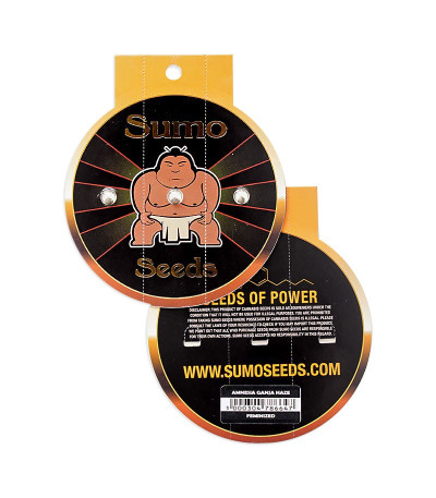 Amnesia Ganja Haze fem (Sumo Seeds) семена конопли