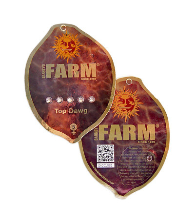 Top Dawg fem семена конопли