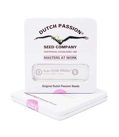 Auto White Widow fem (Dutch Passion) семена конопли