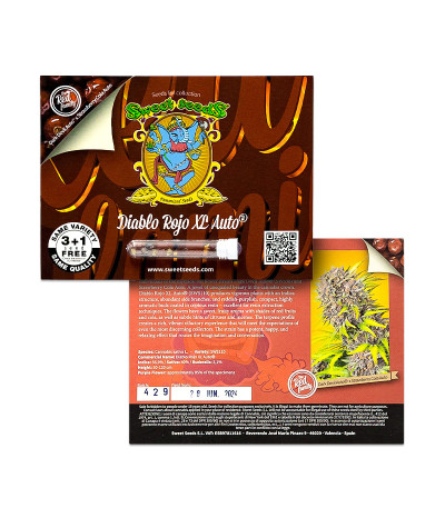 Diablo Rojo XL Auto fem (Sweet Seeds) семена конопли