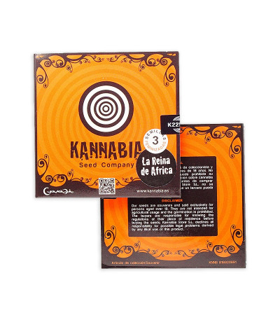 La Reina de Africa (Kaboom) fem семена конопли