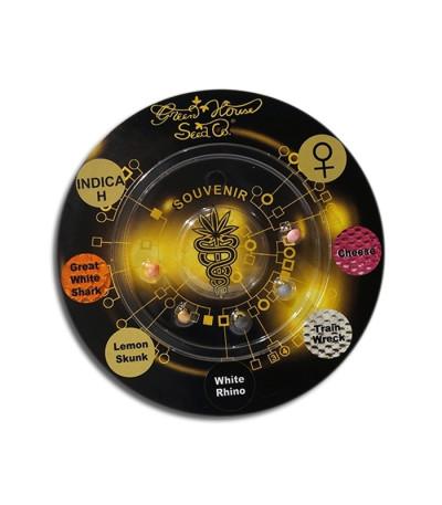 Indica Mix H микс семян конопли