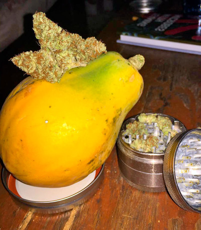 Papaya fem семена конопли