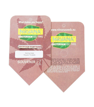 Sterling Haze (Super Silver Haze) reg (Nirvana Seeds) семена конопли