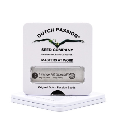 Orange Hill Special regular (Dutch Passion) семена конопли