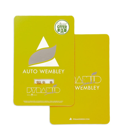 Auto Wembley fem (Pyramid Seeds) семена конопли