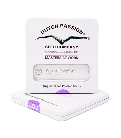 Семена марихуаны Belaya Gvardiya в оригинальной упаковке