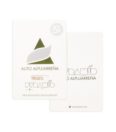 Auto Alpujarrena fem (Pyramid Seeds) семена конопли