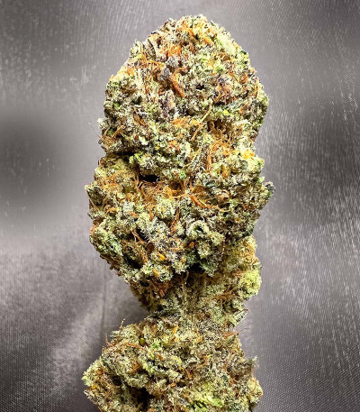 Persian Pie fem (Green House Seeds) семена конопли