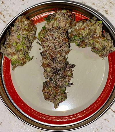 Punchberry Cookies RBX fem (Ethos Genetics) семена конопли