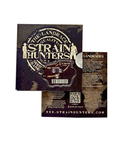 Big Tooth fem (Strain Hunters) семена конопли