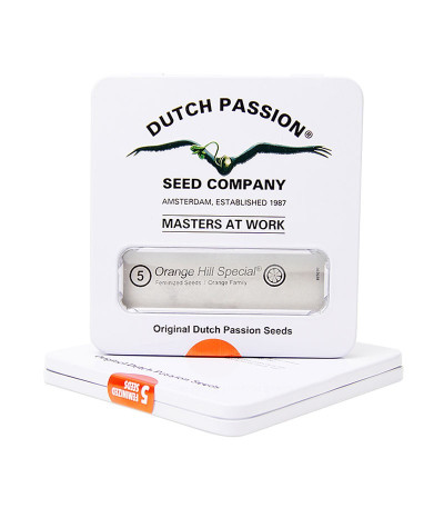 Orange Hill Special fem семена конопли