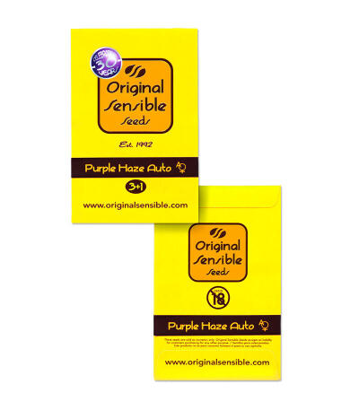 Purple Haze Auto fem (Original Sensible Seeds) семена конопли