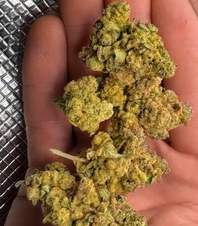 Papaya Frosting fem семена конопли