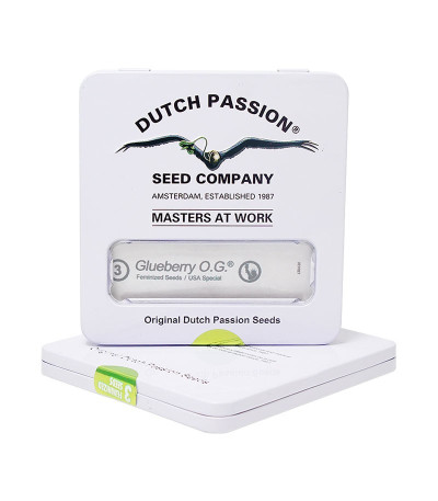 Семена каннабиса Glueberry O.G. в оригинальной упаковке