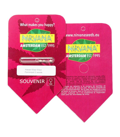Hawaii Maui Waui fem (Nirvana Seeds) семена конопли