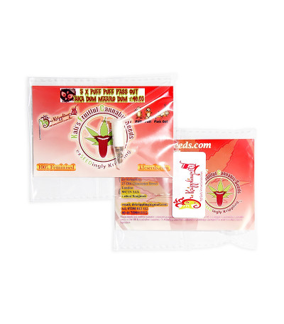 Puff Puff Pass Out fem (KFC Seeds) семена конопли