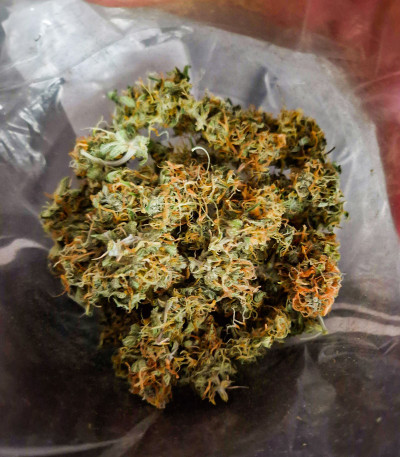 Sweet ZZ Automatic fem (RQS) семена конопли