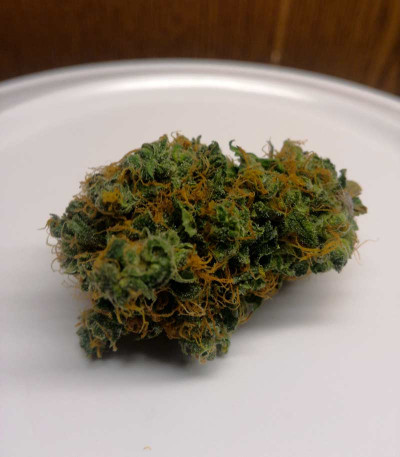 Big Tooth fem (Strain Hunters) семена конопли