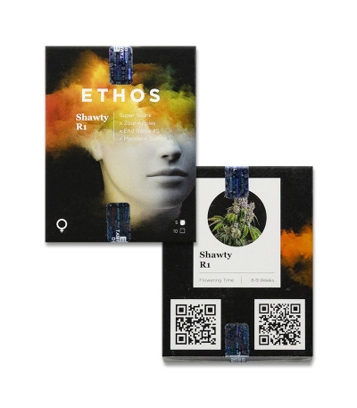Shawty R1 fem (Ethos Genetics) семена конопли
