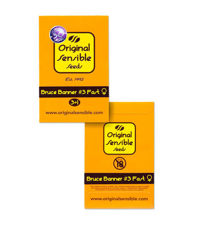 Bruce Banner #3 Fast fem (Original Sensible Seeds) семена конопли