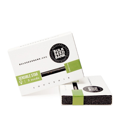 Sensible Star fem семена конопли