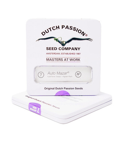 Auto Mazar fem (Dutch Passion) семена конопли