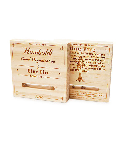 Blue Fire fem (Humboldt Seeds) семена конопли
