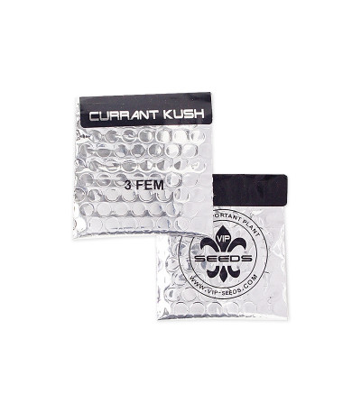 Currant Kush fem (VIP seeds) семена конопли