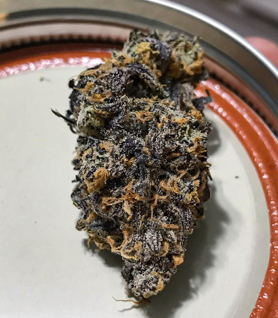 Dozy Breath fem (AlphaFem Seeds) семена конопли