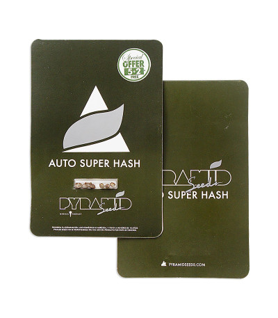 Auto Super Hash fem (Pyramid Seeds) семена конопли