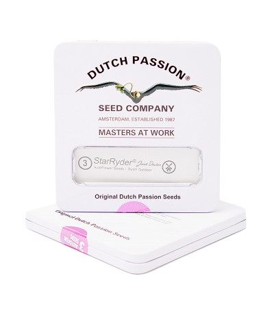 StarRyder Auto fem (Dutch Passion) семена конопли