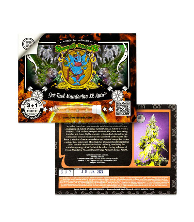 Jet Fuel Mandarine XL Auto fem (Sweet Seeds) семена конопли