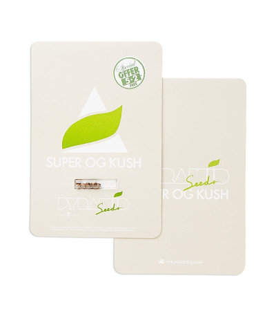 Super OG Kush fem (Pyramid Seeds) семена конопли