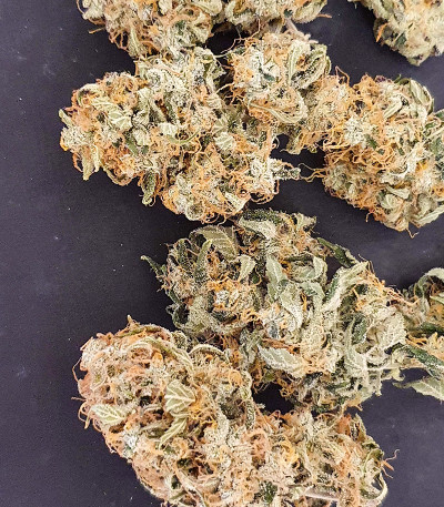 Original Jack Herer Auto fem (FastBuds) семена конопли