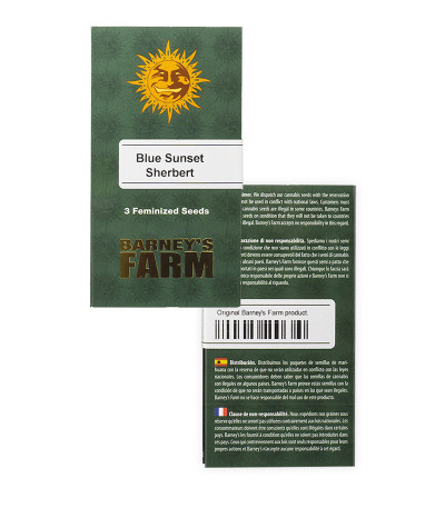 Blue Sunset Sherbert fem семена конопли