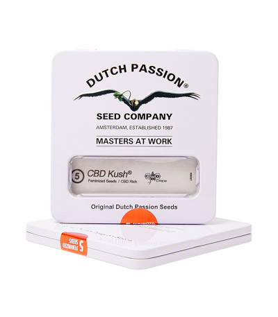 CBD Kush fem (Dutch Passion) семена конопли