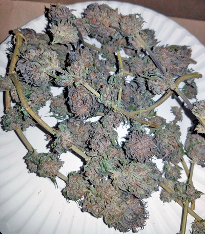 Amherst Sour Diesel fem каннабис