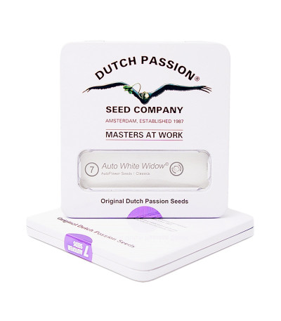 Auto White Widow fem (Dutch Passion) семена конопли
