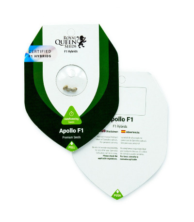 Apollo F1 Auto fem (RQS) семена конопли