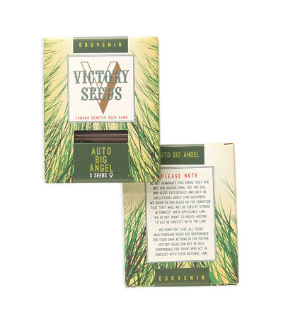 Auto Big Angel fem (Victory Seeds) семена конопли