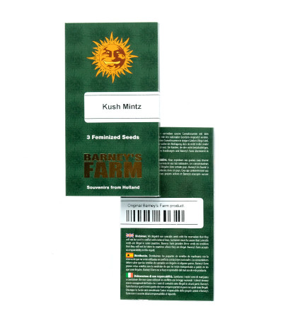 Kush Mintz fem (Barney's Farm) семена конопли